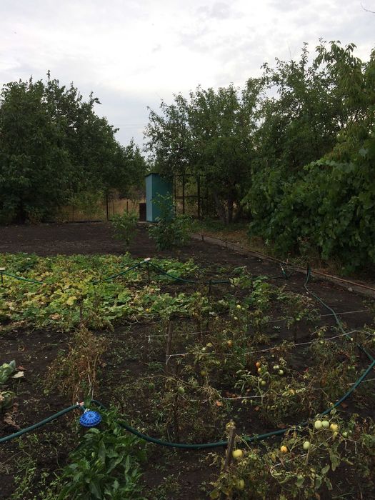 Продам дачу Садове товариство "Висотник" Довгинцівський район