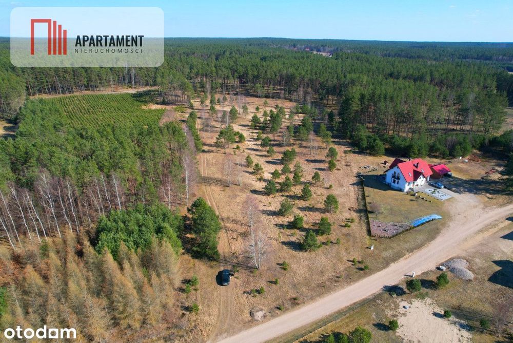 Działka z potencjałem inwestycyjnym na Kaszubach - Ansicht 6