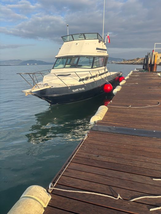 Barco sportcraft 270