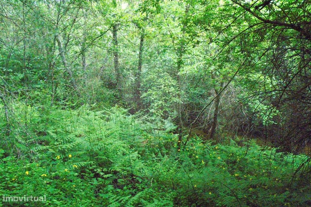 Terreno  para venda