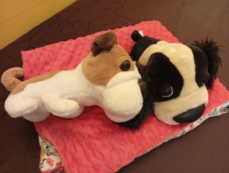 Pluszaki maskotki the dog pieski duże głowy