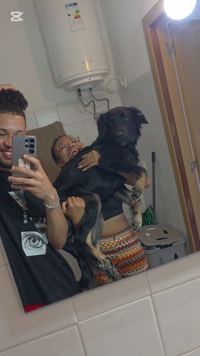 Preciso de um lar para esse companheiro