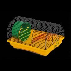 Оптом карликовые хомячки джунгарики ,джунгарский хомяк