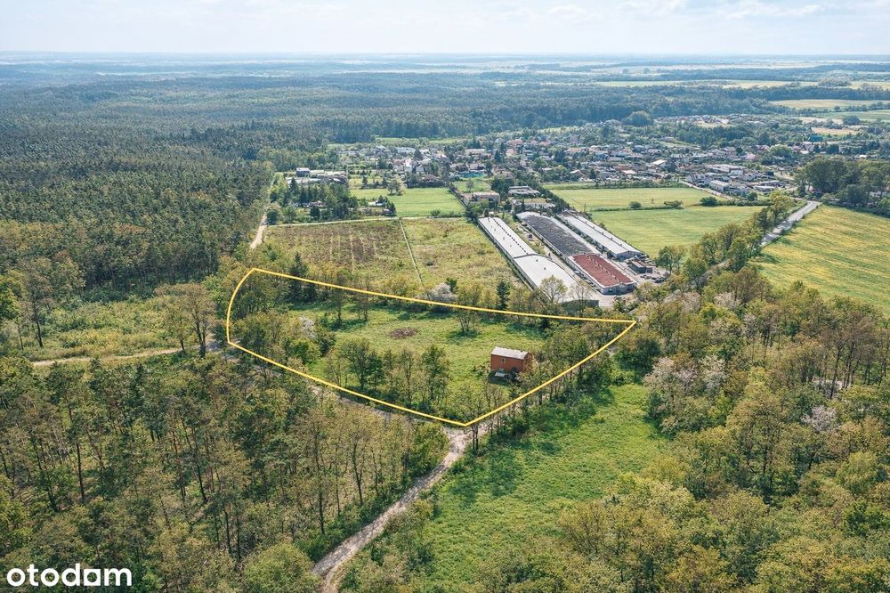 Działka przemysłowo–usługowa (w tym ciężkie)| 1,26 ha przy DK8 | Byków