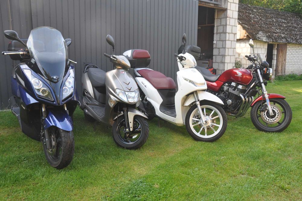 Nożyce Stihl  HS- 75, 85