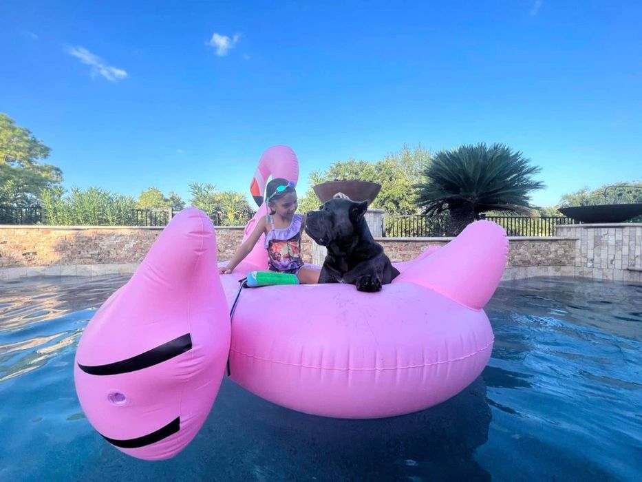 Бронювання елітних хлопчиків та дівчаток. Великий вибір