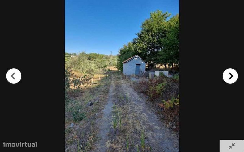 TERRENO 5.500m2 Parada de Gonta - Tondela