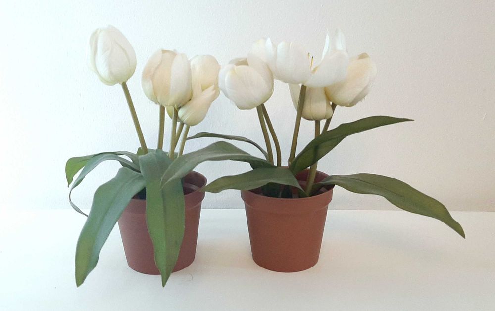 2 Flores IKEA (Artifíciais)