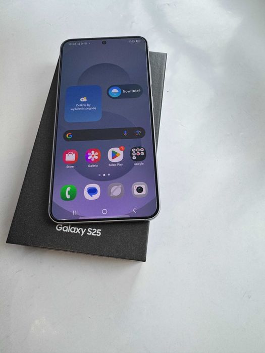 Samsung Galaxy S25, Silver Shadow