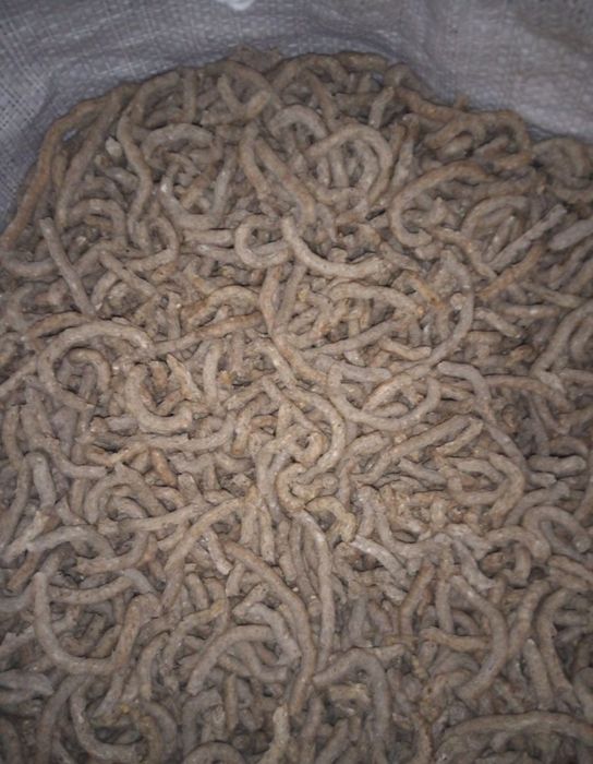 Кукурудзяний екструдований корм для твариш. Кукурудзяний шрот.