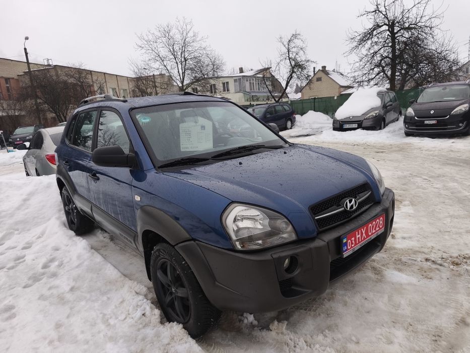 Свіжопригнаний з Голандії