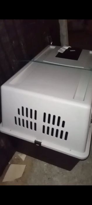 Pra vender tenho está casota e grande que quiser buscar to a vender