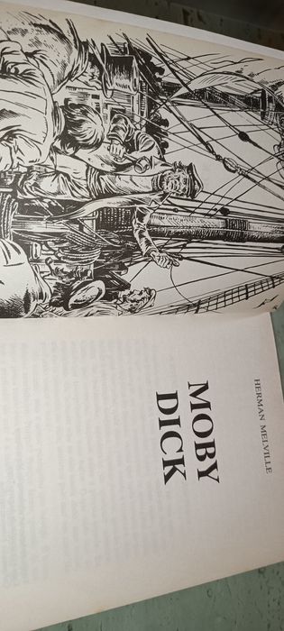 Livro infantil Moby Dick
