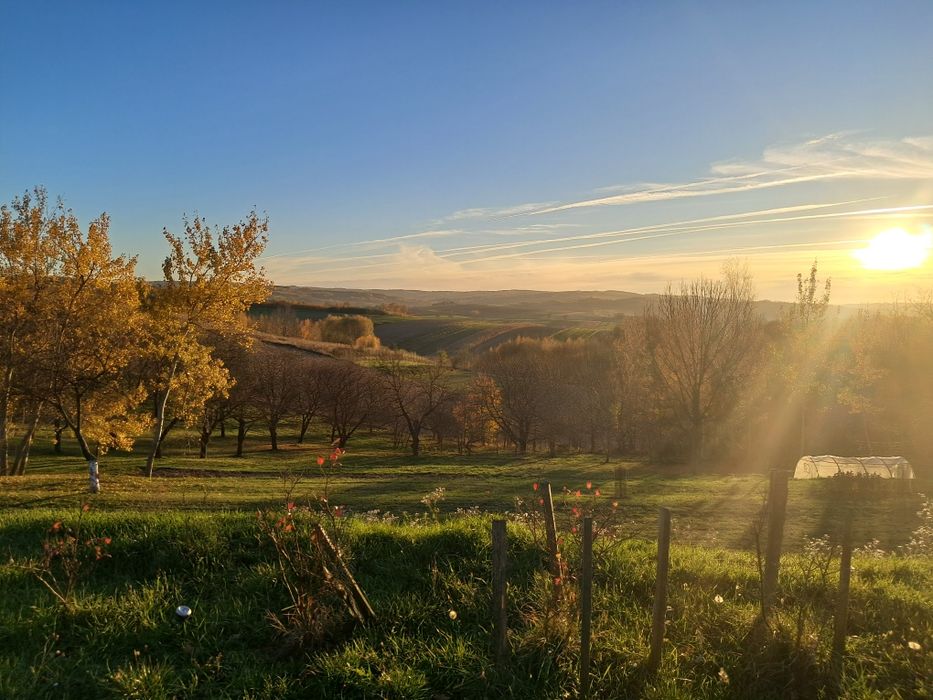 Sprzedam dom Łopuszka Mała