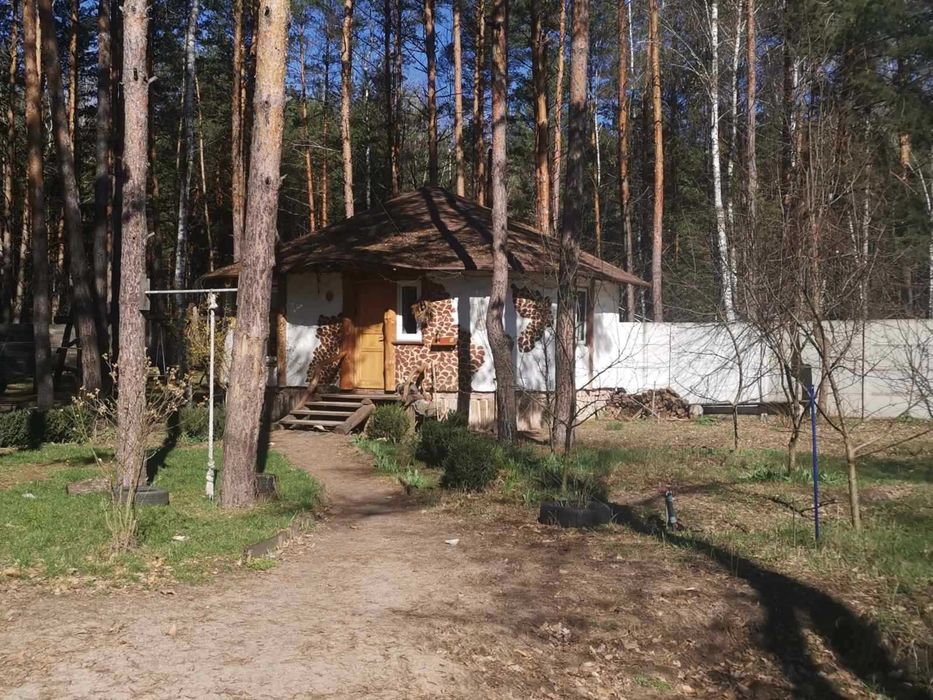 Продається велика ділянка в лісі з недобудованим будинком