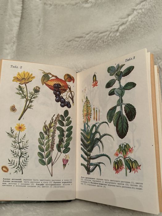 Д.С. Ивашин, ЗФ Катина справочник по заготовкам лекарственных растений