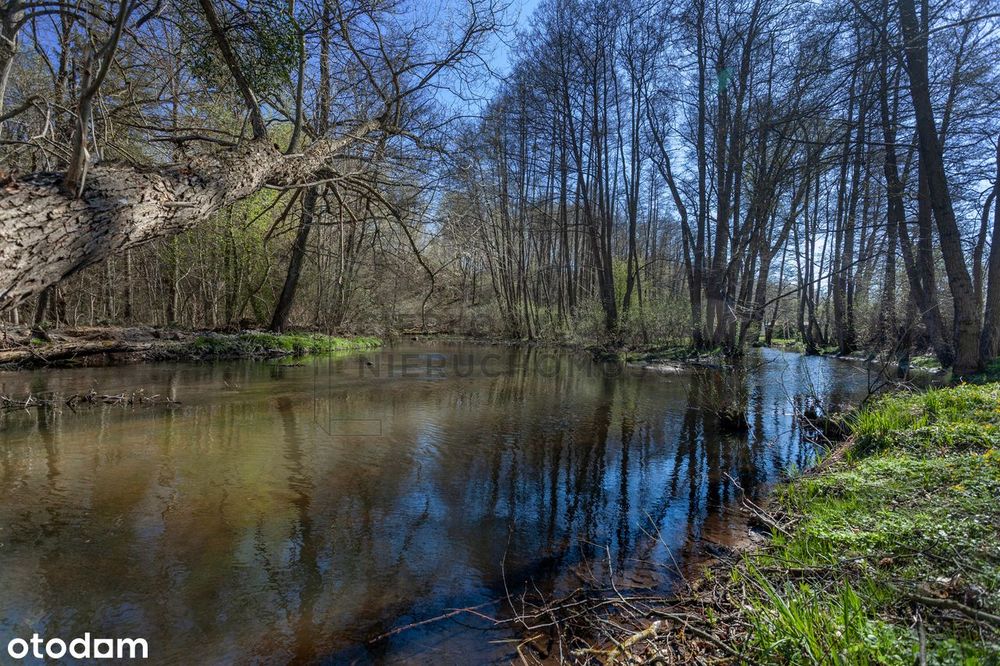 Działka z bezpośrednim dostępem do rzeki i własnym kawałkiem lasu. - Widok 4