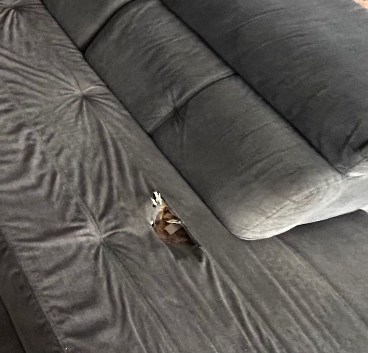 Sofá com assentos deslizantes