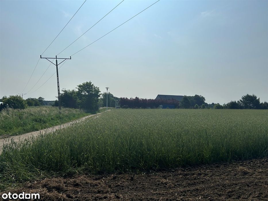 Działka budowlana w urokliwym miejscu przy lesie - Widok 3