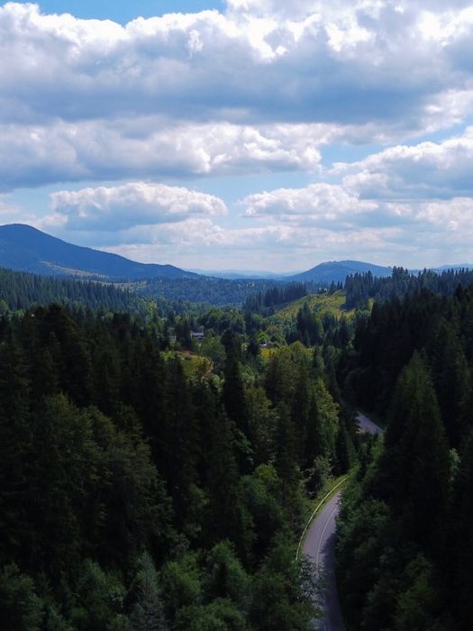 Ділянка в Карпатах біля річки ( Кривопільський перевал )