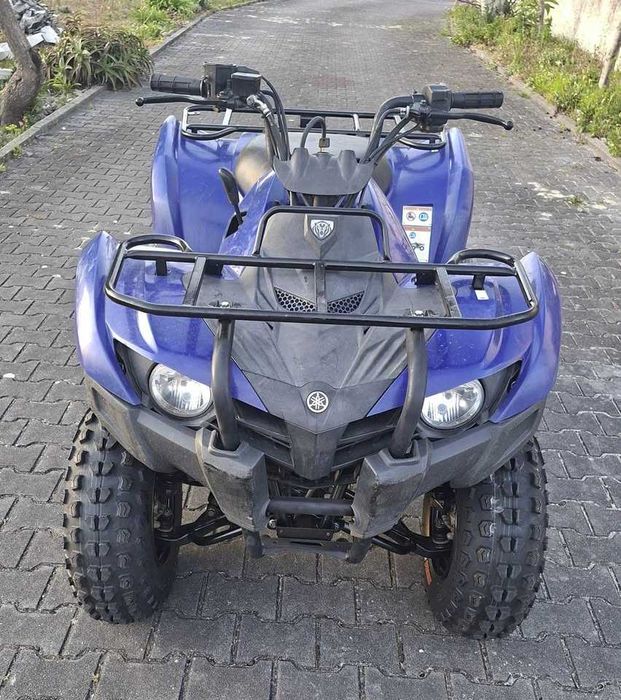 Moto4 Yamaha Grizzly 300 (14)
