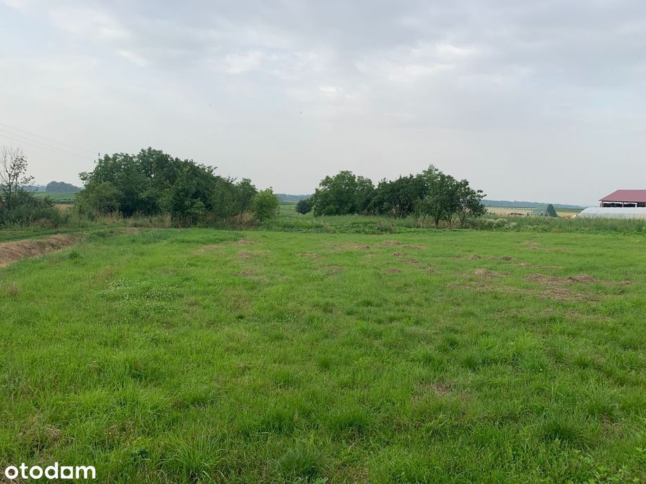 Działka budowlana 272/2, 1319 m2, Piotrkowiczki, Trzebnica, S5 Wrocław