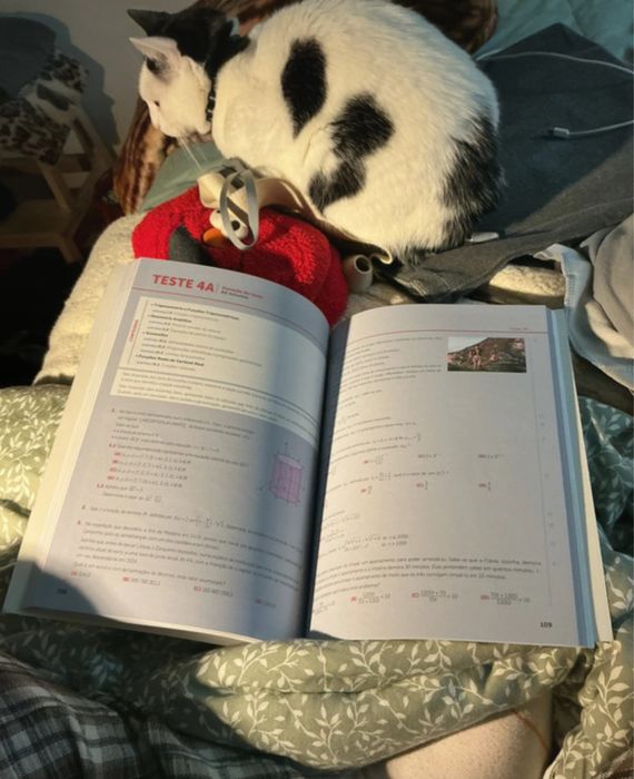 Livro de preparação para testes de matemática A - 11 ano