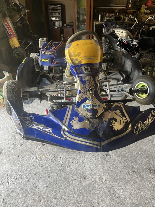 Karting de competição 270cc