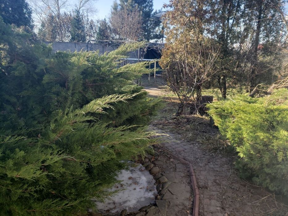 Подобово будинок для святкування м.Осокорки м.Славутич