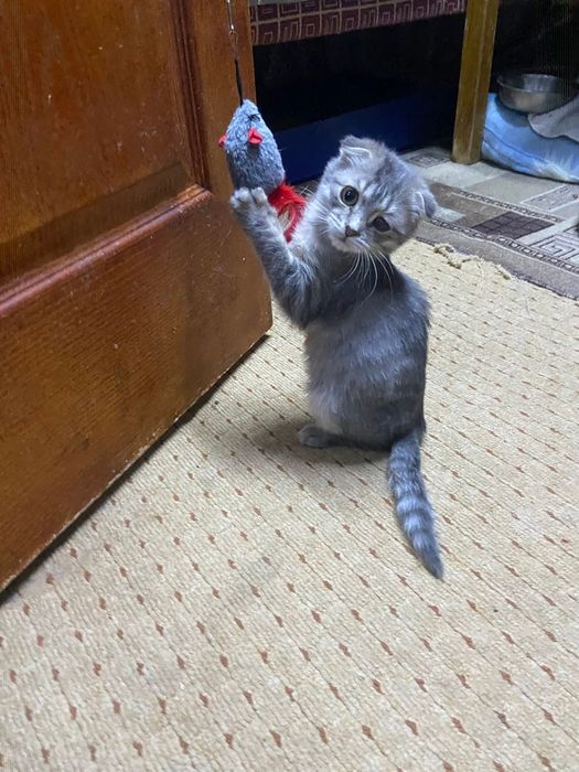 Хлопчик терміново шукає люблячу сім'ю