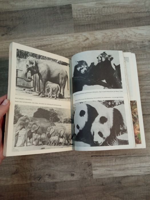 I kudłate i łaciate Maria Sołtyńska 1986