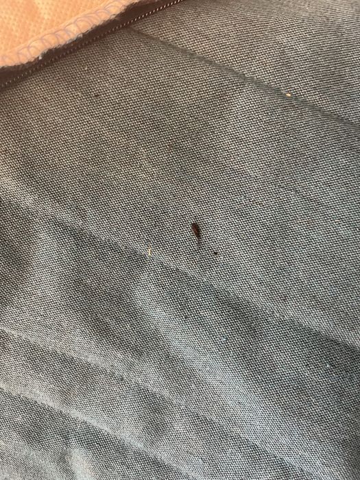 Capa azul para sofá cama