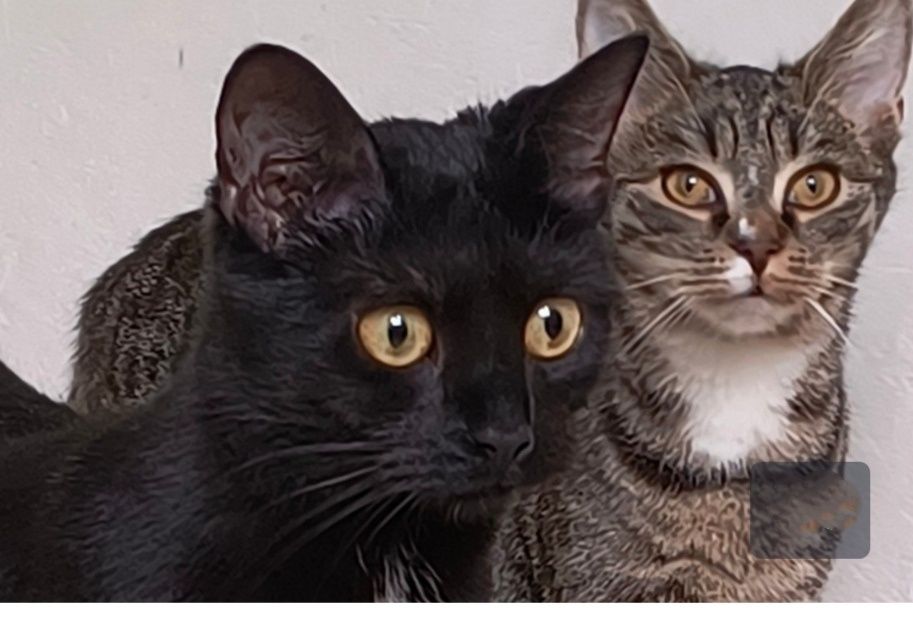 Maluchy. Chłopczyk i dziewczynka.