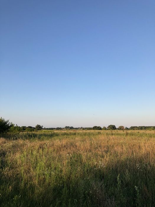 Будинок Остер 25 соток, без комісії