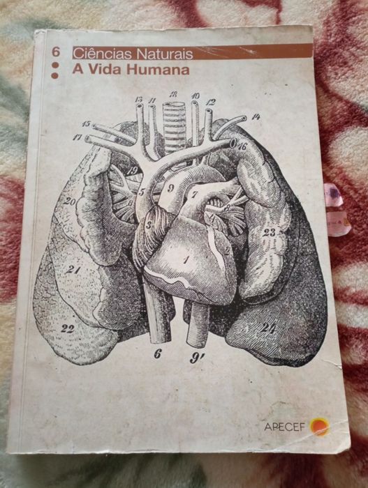 Natural Sciences Textbook – São José College (Ramalhão) – 6th Grade