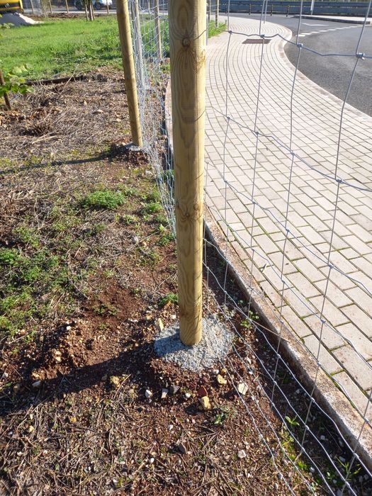 Trabalhos de limpeza de terrenos, vedação e outros