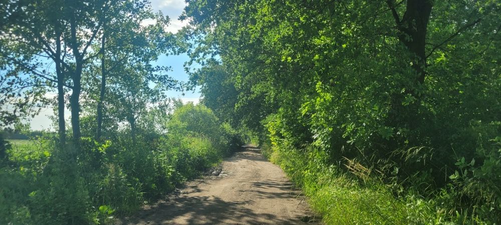 Działka blisko morza