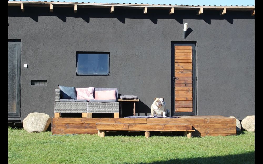 Hotel dla psów i kotow