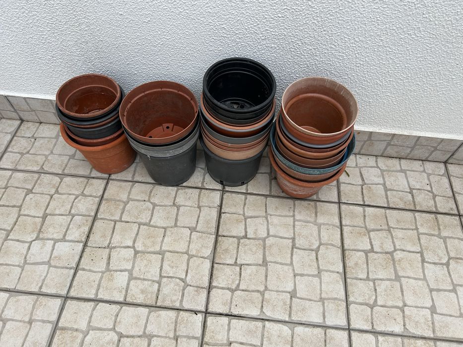 Vendo variedade de vasos .