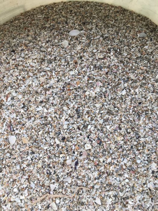 Ґрунт для акваріуму