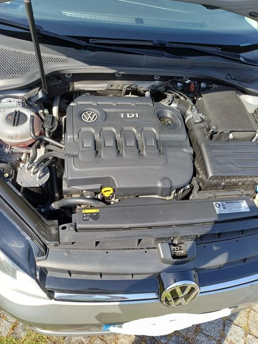 VW Golf 1.6 TDI Trendline