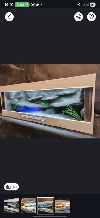 Terrarium promocja