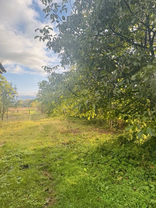 Продаж будинку Чернігівська область