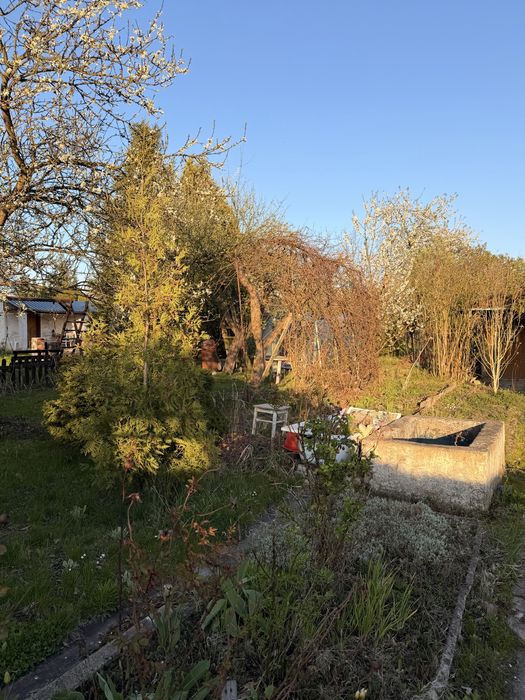 Sprzedam ogródek dzialkowy