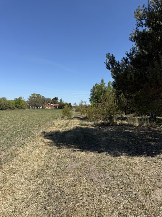 Działka budowlana 1288 m² z prądem Adamowa Góra - Widok 6