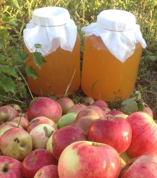 Домашний яблочный уксус на меду