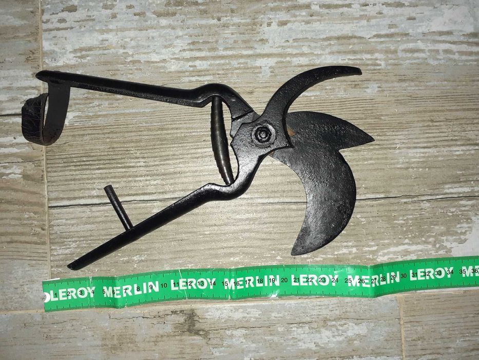 Tesoura de árvores Antiga uvas