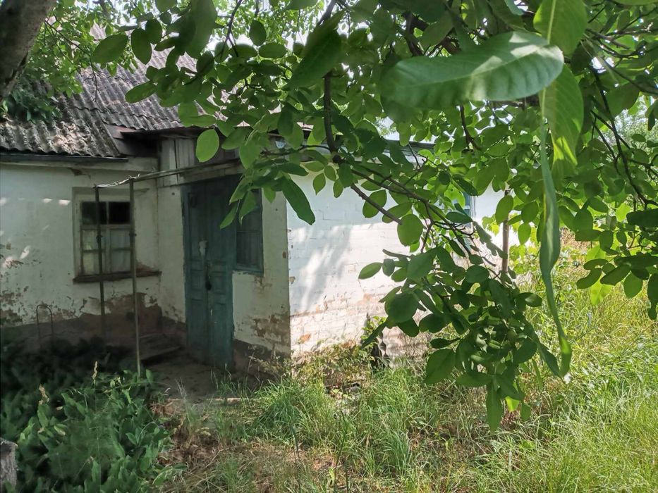 Продам земельну ділянку (дачу)