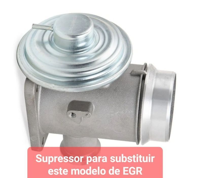 Supressor EGR BMW Série 3 5 7 E46 E60 E61 E65 E53 M57N - 110mm