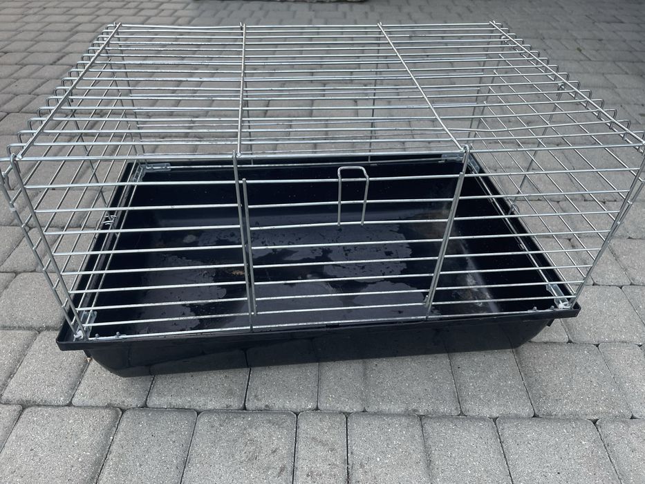 klatka dla swinki morskiej